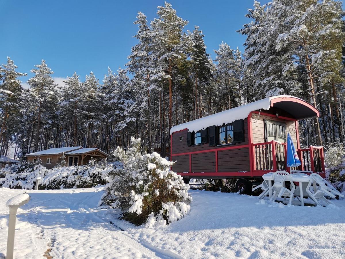 Les Chalets Du Haut-Forez Usson-en-Forez エクステリア 写真