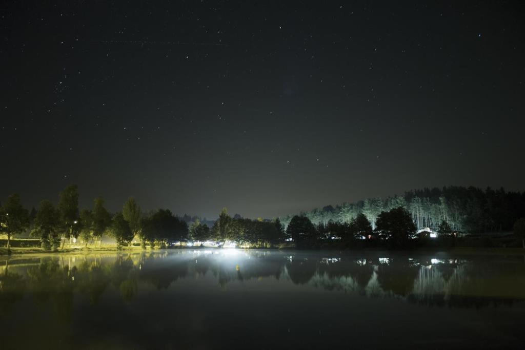 Les Chalets Du Haut-Forez Usson-en-Forez エクステリア 写真