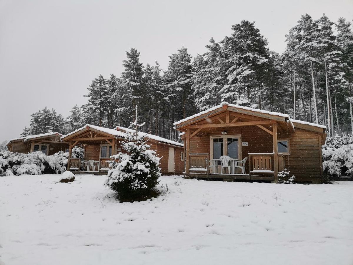 Les Chalets Du Haut-Forez Usson-en-Forez エクステリア 写真